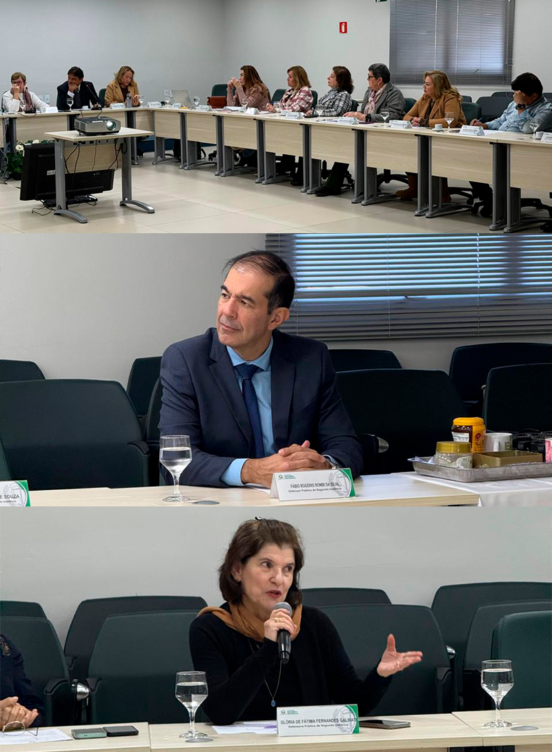 Reuniao Extraordinaria 2 Instancia Julho MOSAICO