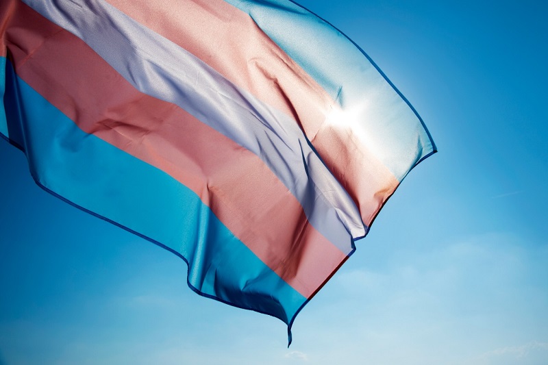 Bandeira trans