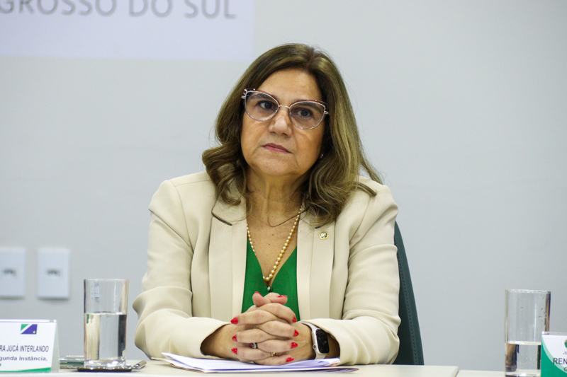 Coletiva de Imprensa 2024 03