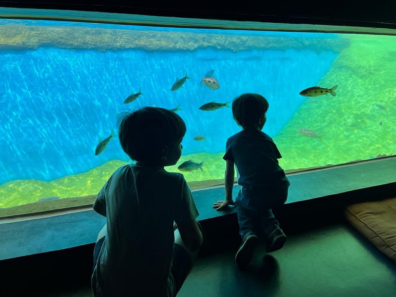 Criancas visita Aquario