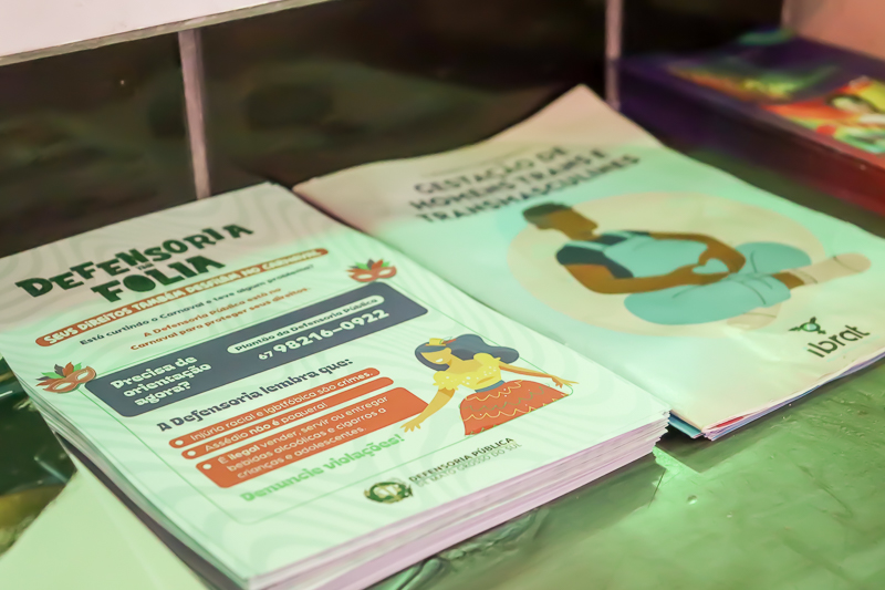 Defensoria na Folia 5