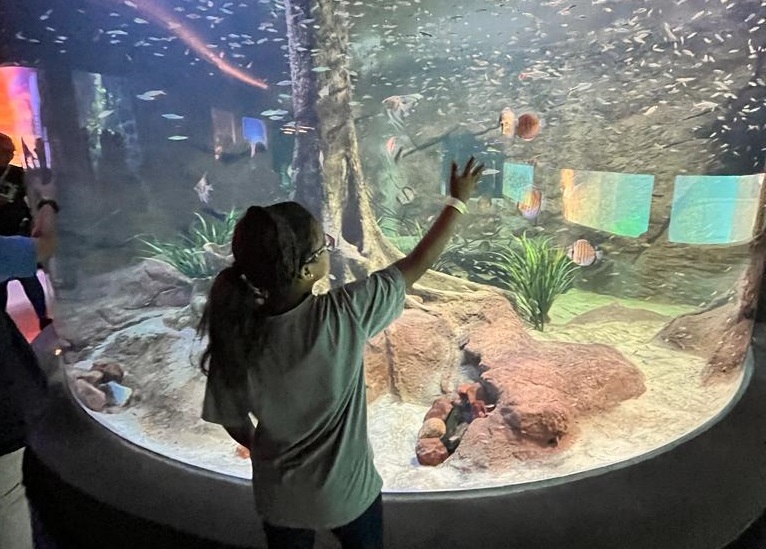 Dra Debora crianca visita aquario