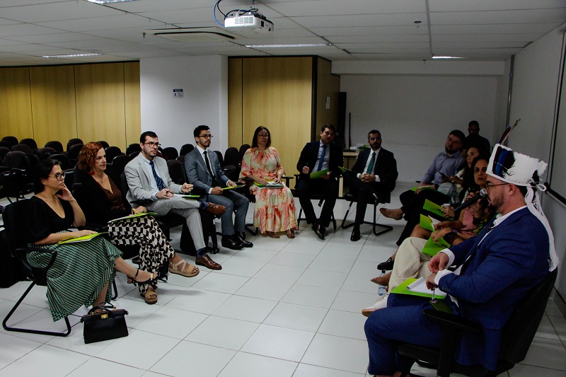 Dra Ligiane reuniao comissao indigena
