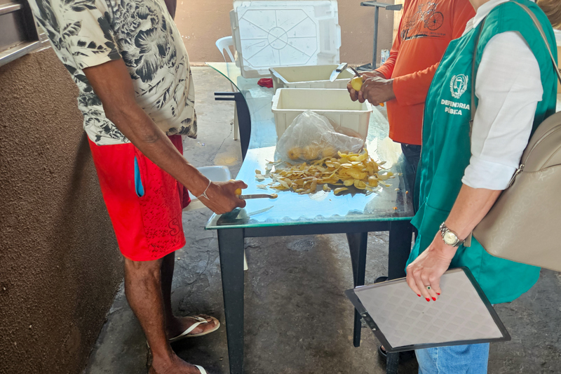 Inspeçao CT Nova Criatura 2