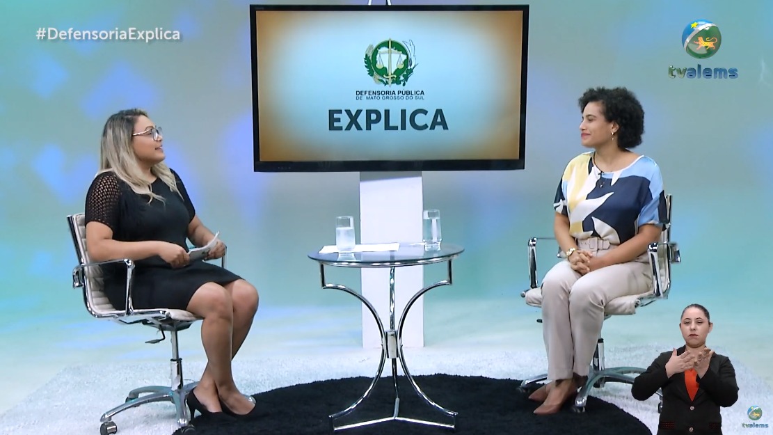 Entrevista com Camila Maues Santos Flausino